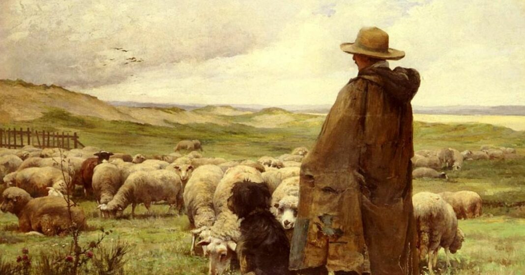 7 thuật quản trị kinh điển từ bài học kinh doanh của người chăn cừu: Trở thành nhà lãnh đạo giỏi chưa bao giờ dễ dàng đến thế!