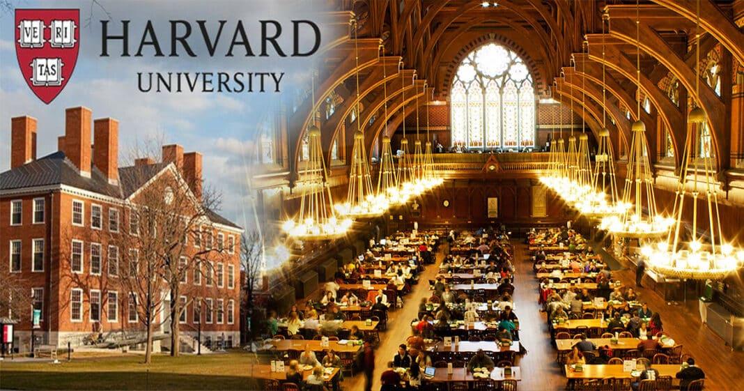 ĐH Harvard: Sự khổ nhọc khi học chỉ là tạm thời, sự đau khổ vì không học đến nơi là mãi mãi