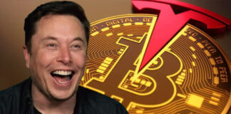 Tỷ phú Elon Musk sở hữu lượng Bitcoin nhiều thứ 2 thế giới: "Âm mưu" đằng sau là gì?